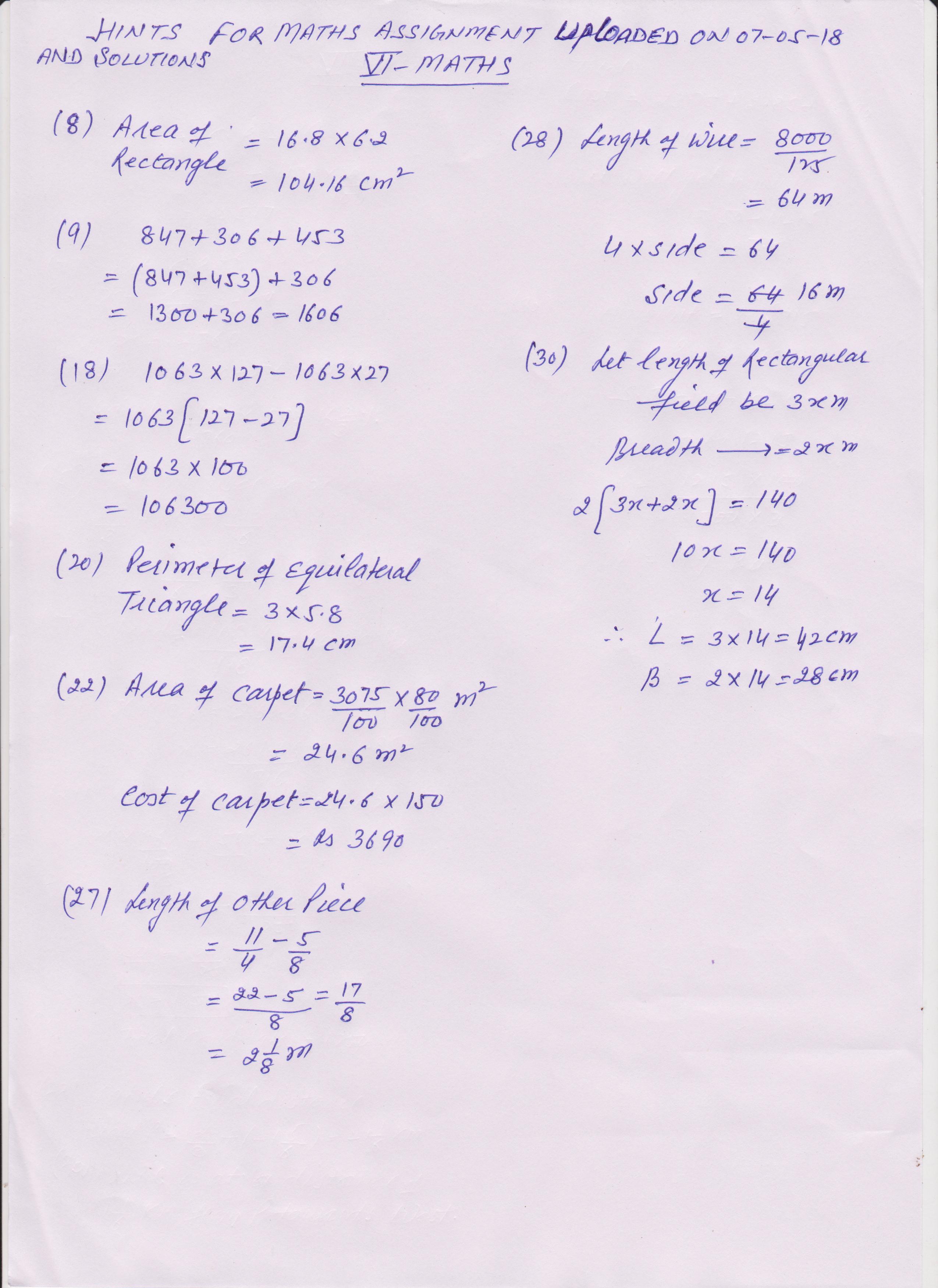 education and school essay body