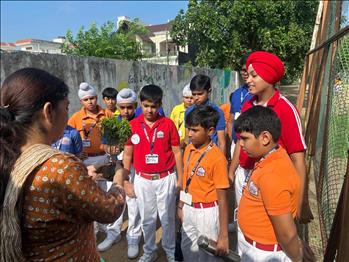item_da8d60_WhatsApp_Image_2025-07-19_at_11.53.00.jpeg